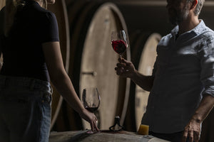 🍷 Día del Enólogo: quienes transforman la uva en identidad, estilo y emoción