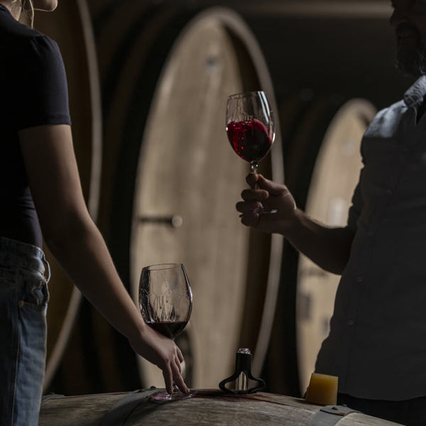 🍷 Día del Enólogo: quienes transforman la uva en identidad, estilo y emoción
