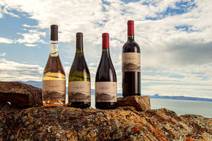 Conocé los vinos más Australes de Argentina