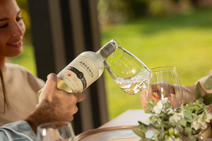 Cómo Catar un Vino: Guía Paso a Paso