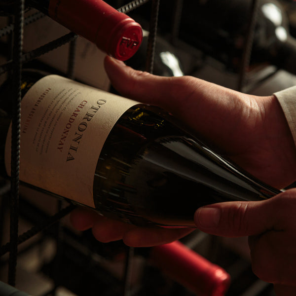 🥂 Guía completa del Chardonnay