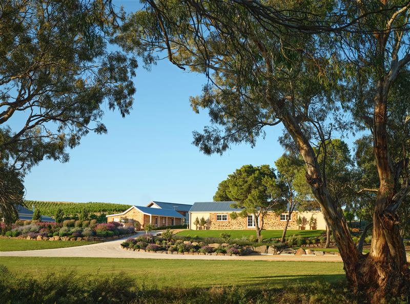 Alkina y la magia del Barossa Valley – Grupo Avinea