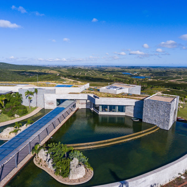 ¡Aventúrate en el Mundo del Albariño!