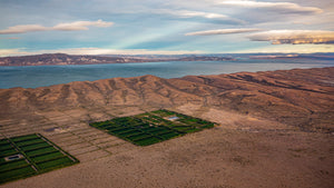 Terroir de Bodega Otronia