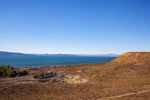 Los Mejores Vinos de Verano 2026: Blancos, Rosados y Espumosos para Disfrutar en Tienda Avinea