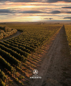 17 de Abril Día Internacional del Malbec