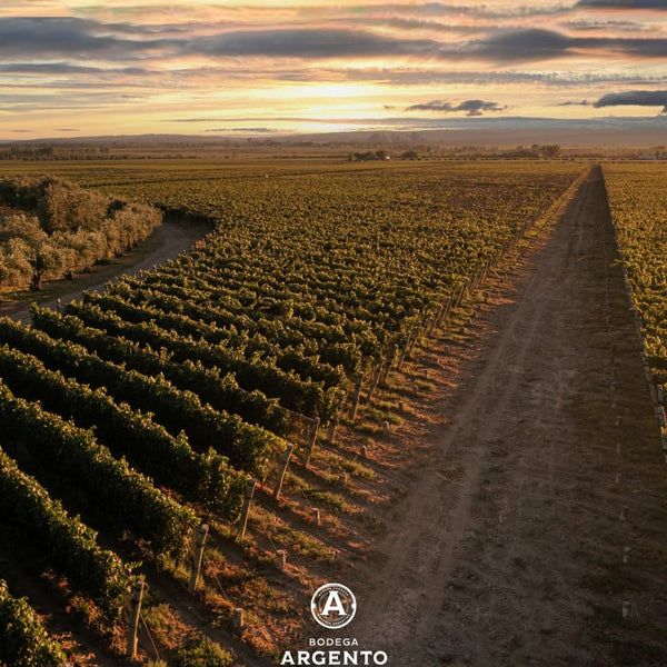 17 de Abril Día Internacional del Malbec