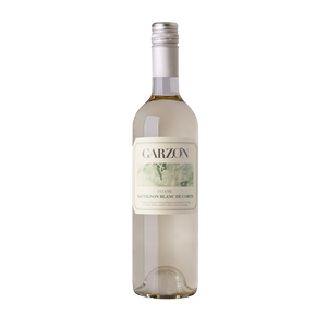 Garzón Estate Sauvignon Blanc de Corte