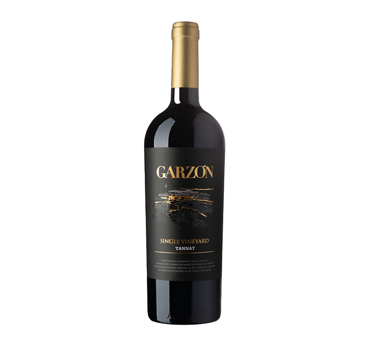 Garzón Single Vineyard Tannat
