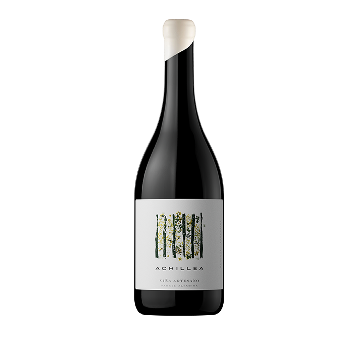 Achillea Malbec