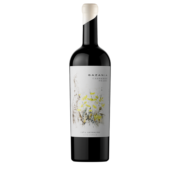 Gazania Cabernet Franc