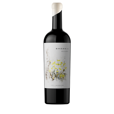 Gazania Malbec